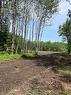 Lot 33 Rutherglen Line, Bonfield, ON 