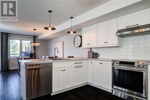 69 Birmingham Drive, Sudbury, ON - Indoor Photo Showing Kitchen With Upgraded Kitchen