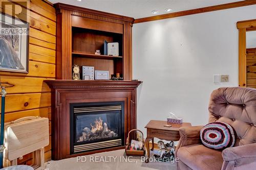 48 Sturgeon Glen Road, Kawartha Lakes (Fenelon Falls), ON - Indoor With Fireplace