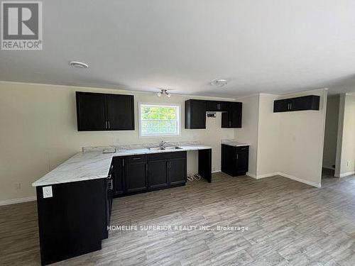 16 Belmont Street, Havelock-Belmont-Methuen (Havelock), ON - Indoor Photo Showing Kitchen With Double Sink