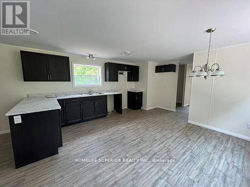 16 Belmont Street, Havelock-Belmont-Methuen (Havelock), ON - Indoor Photo Showing Kitchen