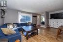 880 11Th Avenue E, Owen Sound, ON  - Indoor Photo Showing Living Room 