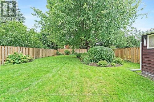 227 Patricia Avenue, Toronto, ON - Outdoor With Backyard