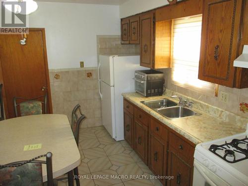 104 Mulberry Street, Hamilton, ON - Indoor Photo Showing Kitchen With Double Sink