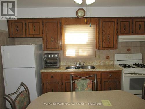 104 Mulberry Street, Hamilton, ON - Indoor Photo Showing Kitchen With Double Sink