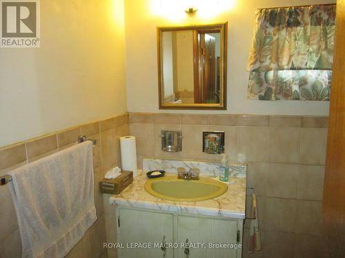 104 Mulberry Street, Hamilton, ON - Indoor Photo Showing Bathroom