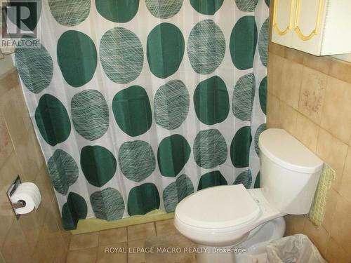 104 Mulberry Street, Hamilton, ON - Indoor Photo Showing Bathroom