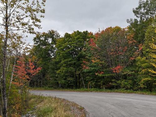 Terre/Terrain - Rue Du Mont-Blanc, Sainte-Agathe-Des-Monts, QC 