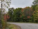 Terre/Terrain - Rue Du Mont-Blanc, Sainte-Agathe-Des-Monts, QC 