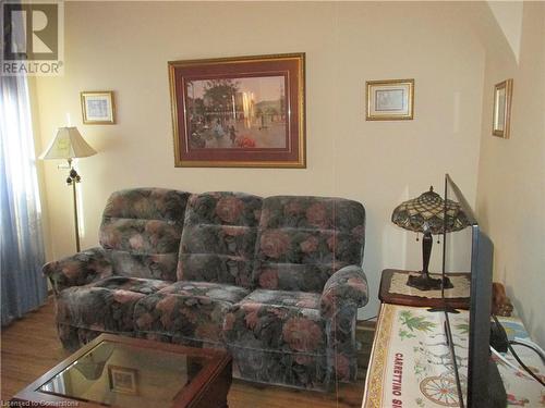 104 Mulberry Street, Hamilton, ON - Indoor Photo Showing Living Room