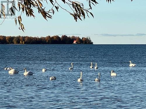 580 Duclos Point Road, Georgina, ON - Outdoor With Body Of Water With View