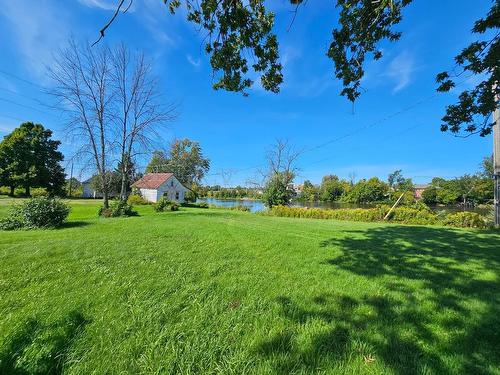 Cour - 44  - 43 Île Aux Vaches, Laval (Saint-François), QC - Outdoor With View