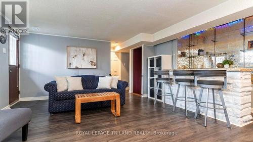 48 Locust Crescent, London, ON - Indoor Photo Showing Living Room