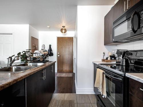 Kitchen - 301-4321 Rue St-Jacques, Montréal (Le Sud-Ouest), QC - Indoor Photo Showing Kitchen With Double Sink