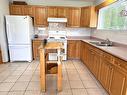 1590 Griffin Terrace, Kamloops, BC  - Indoor Photo Showing Kitchen With Double Sink 