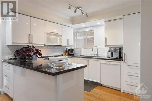 85 Lavergne Street, Ottawa, ON - Indoor Photo Showing Kitchen With Upgraded Kitchen