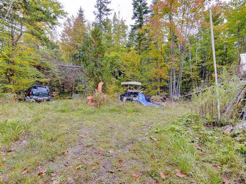 Wooded area - 814 Ch. St-Edmond, Saint-Barthélemy, QC - Outdoor