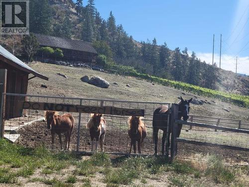 3655 Mclean Road, Okanagan Falls, BC 