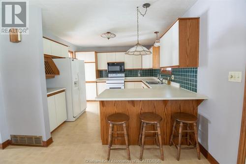 961 Daleview Crescent, Dresden, ON - Indoor Photo Showing Kitchen With Double Sink