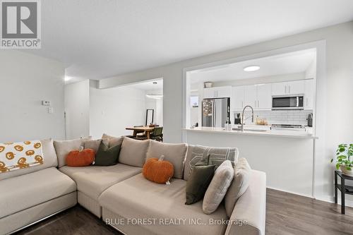 250 - 700 Osgoode Drive S, London, ON - Indoor Photo Showing Living Room