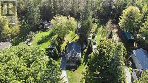 59 Antiquary Road S, Kawartha Lakes (Kirkfield), ON - Outdoor With View