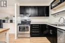 Appliances included. - 1100 Ambleside Drive Unit#607, Ottawa, ON  - Indoor Photo Showing Kitchen With Upgraded Kitchen 