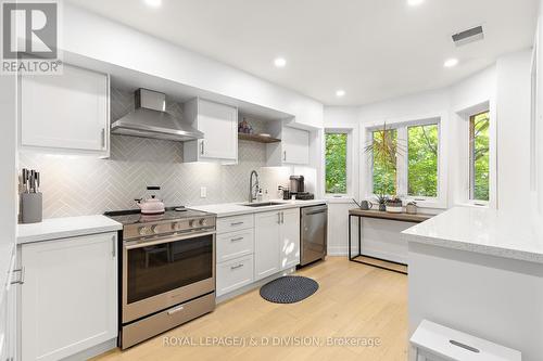 32C Massey Street, Toronto, ON - Indoor Photo Showing Kitchen With Upgraded Kitchen