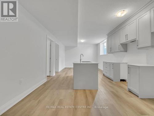 299 Ottawa Street N, Kitchener, ON - Indoor Photo Showing Kitchen