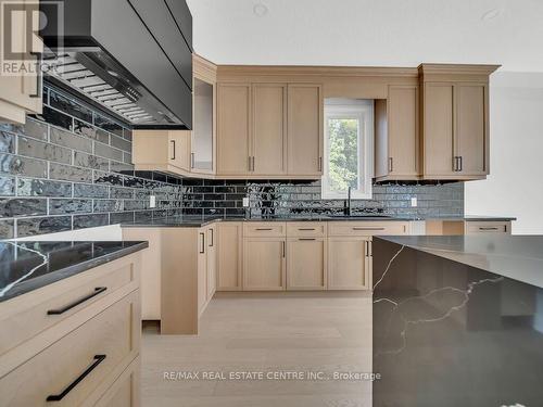 299 Ottawa Street N, Kitchener, ON - Indoor Photo Showing Kitchen