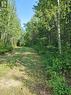 Lot 5 Con 1 Road, Timiskaming Remote Area, ON 