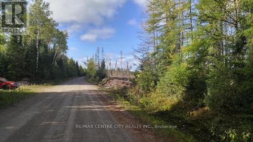 Lot 5 Con 1 Road, Timiskaming Remote Area, ON 