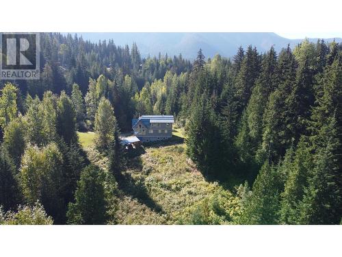 8201 Red Mountain Road, Silverton, BC - Outdoor With View