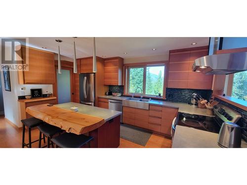 8201 Red Mountain Road, Silverton, BC - Indoor Photo Showing Kitchen