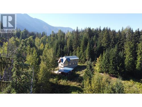 8201 Red Mountain Road, Silverton, BC - Outdoor With View