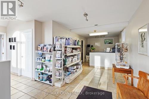 437 Bleecker Avenue, Belleville, ON 