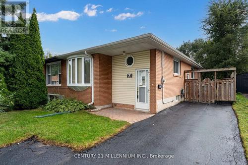 65 Walter Avenue, Newmarket, ON - Outdoor