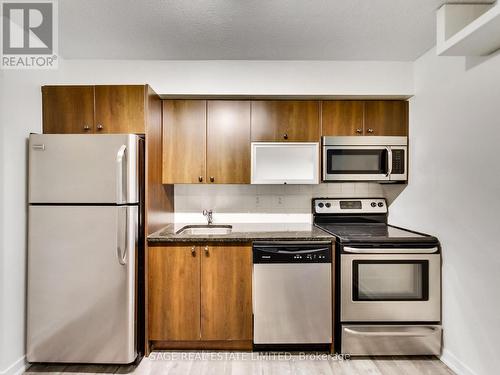 214 - 57 East Liberty Street, Toronto, ON - Indoor Photo Showing Kitchen With Stainless Steel Kitchen