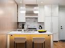 101-1201 Fort St, Victoria, BC  - Indoor Photo Showing Kitchen With Upgraded Kitchen 