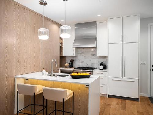 101-1201 Fort St, Victoria, BC - Indoor Photo Showing Kitchen With Double Sink With Upgraded Kitchen