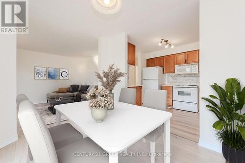 382 Wake Robin Crescent, Kitchener, ON - Indoor Photo Showing Kitchen