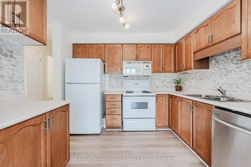 382 Wake Robin Crescent, Kitchener, ON - Indoor Photo Showing Kitchen With Double Sink