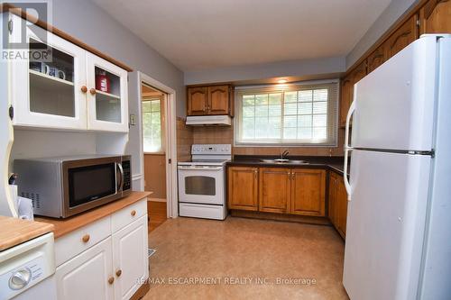 41 Sarasota Avenue, Hamilton, ON - Indoor Photo Showing Kitchen With Double Sink