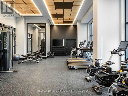 313 - 20 Samuel Wood Way, Toronto, ON - Indoor Photo Showing Gym Room