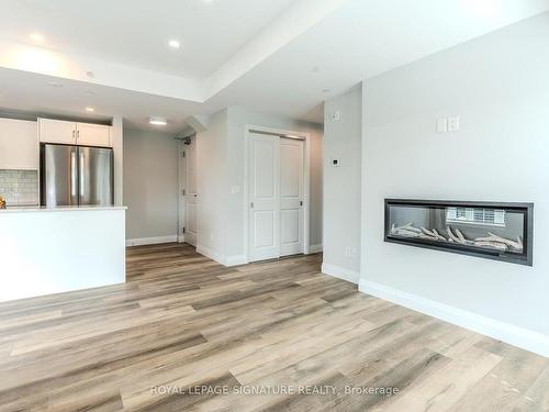 301-153 Wilson St W, Hamilton, ON - Indoor Photo Showing Other Room With Fireplace