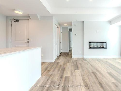 301-153 Wilson St W, Hamilton, ON - Indoor Photo Showing Other Room With Fireplace