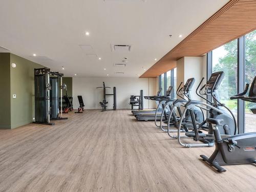 Exercise room - 402-1000 Rue Levert, Montréal (Verdun/Île-Des-Soeurs), QC - Indoor Photo Showing Gym Room