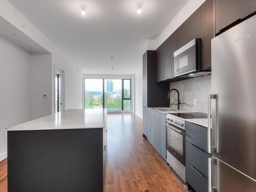 Kitchen - 402-1000 Rue Levert, Montréal (Verdun/Île-Des-Soeurs), QC - Indoor Photo Showing Kitchen With Upgraded Kitchen