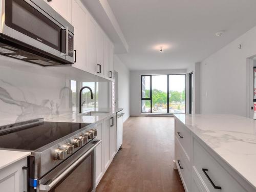 Kitchen - 217-1000 Rue Levert, Montréal (Verdun/Île-Des-Soeurs), QC - Indoor Photo Showing Kitchen With Upgraded Kitchen