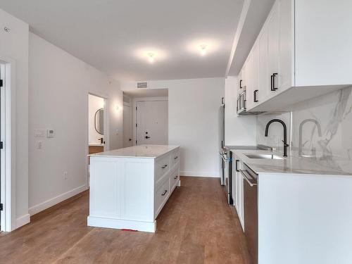 Kitchen - 217-1000 Rue Levert, Montréal (Verdun/Île-Des-Soeurs), QC - Indoor Photo Showing Kitchen With Upgraded Kitchen