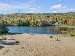 Bord de l'eau - 